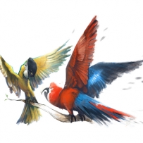 นก Macaw ครับผม :)